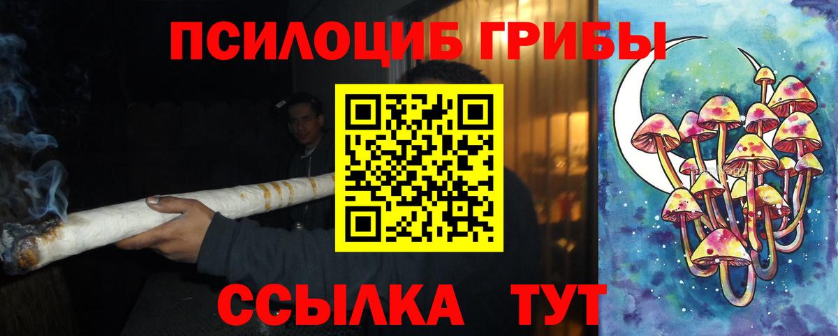 Псилоцибиновые грибы GOLDEN TEACHER Качканар